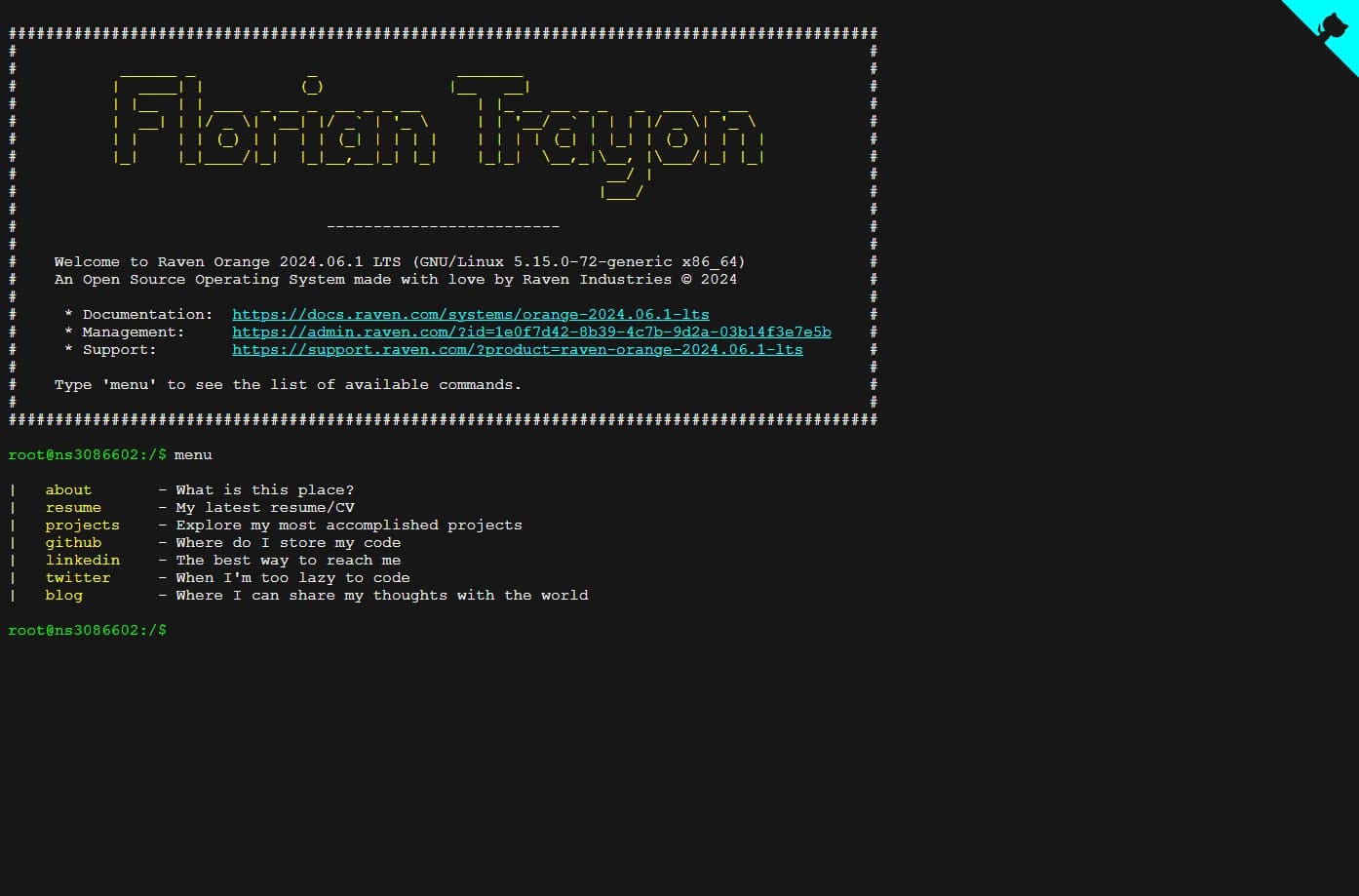 Page d'accueil du terminal après avoir saisie la commande `menu`